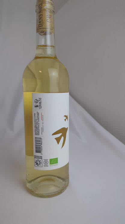 Le Côtes-du-Rhône white